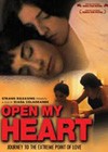 Open My Heart (2002)2.jpg